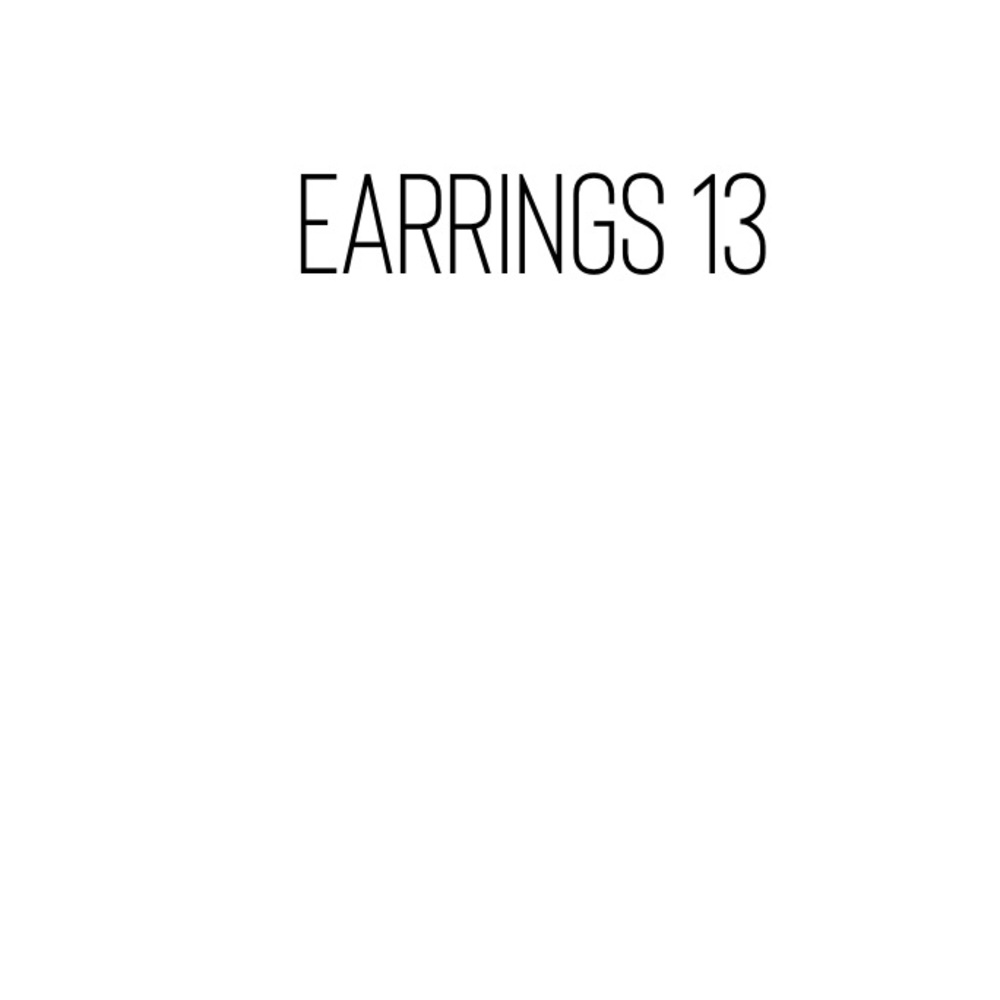 Earrings 13